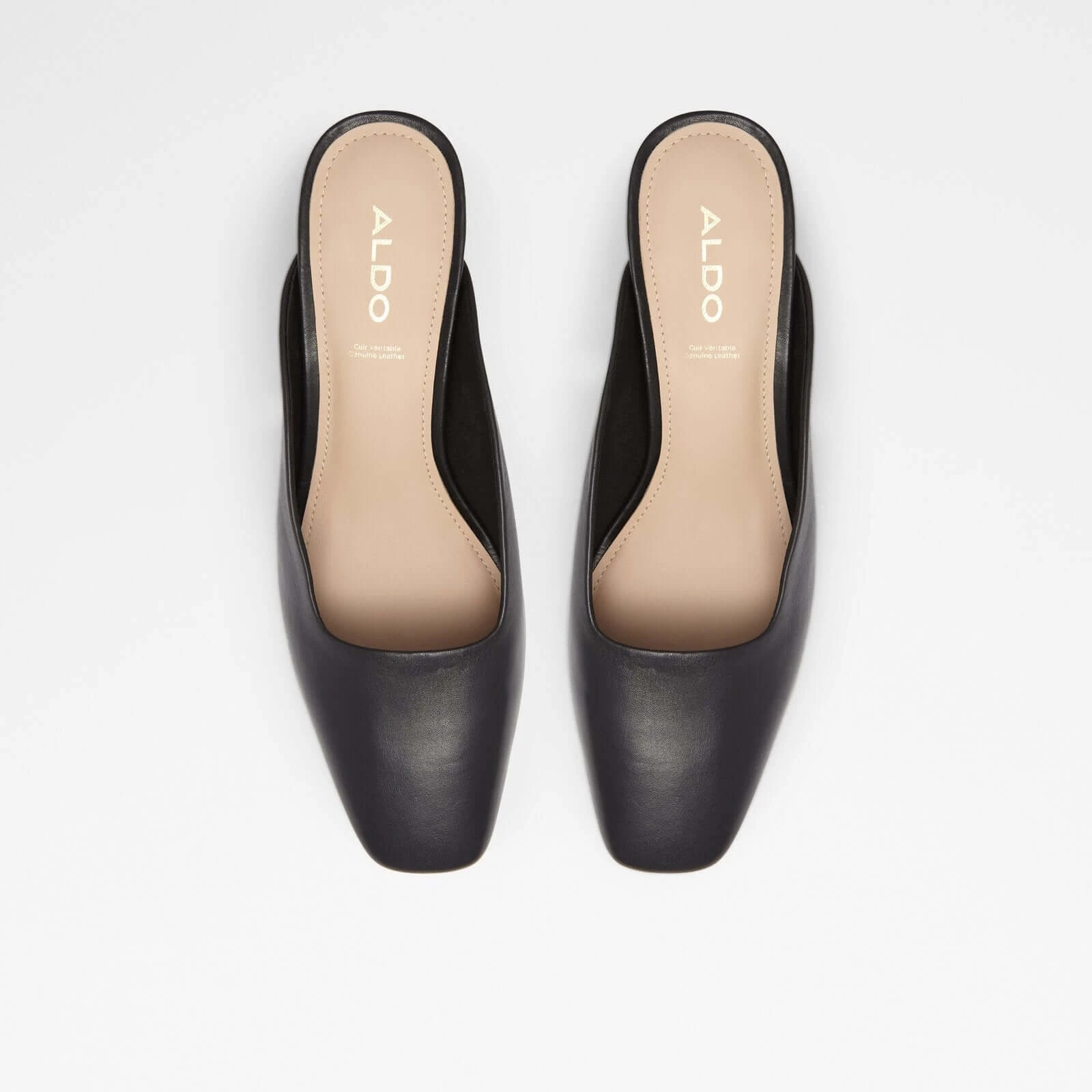 Aldo Brerwen 7 Aldo Brerwen - Image 7