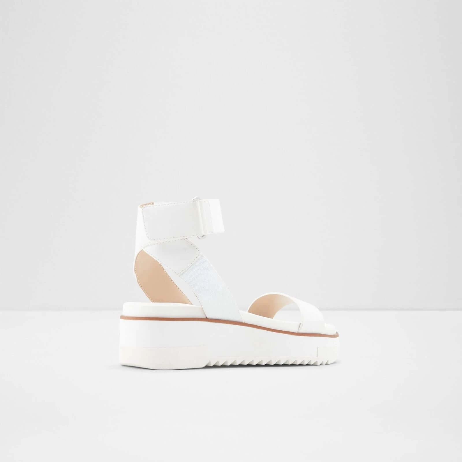 Aldo Flachsee 3 Aldo Flachsee - Image 3