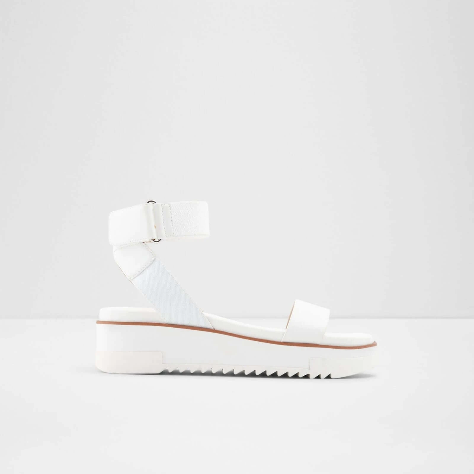 Aldo Flachsee 2 Aldo Flachsee - Image 2