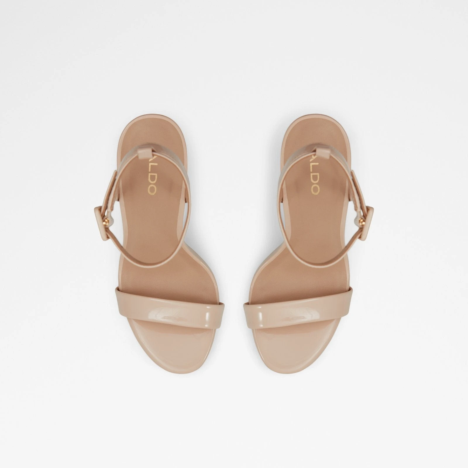 Aldo Kat 7 Aldo Kat - Image 7