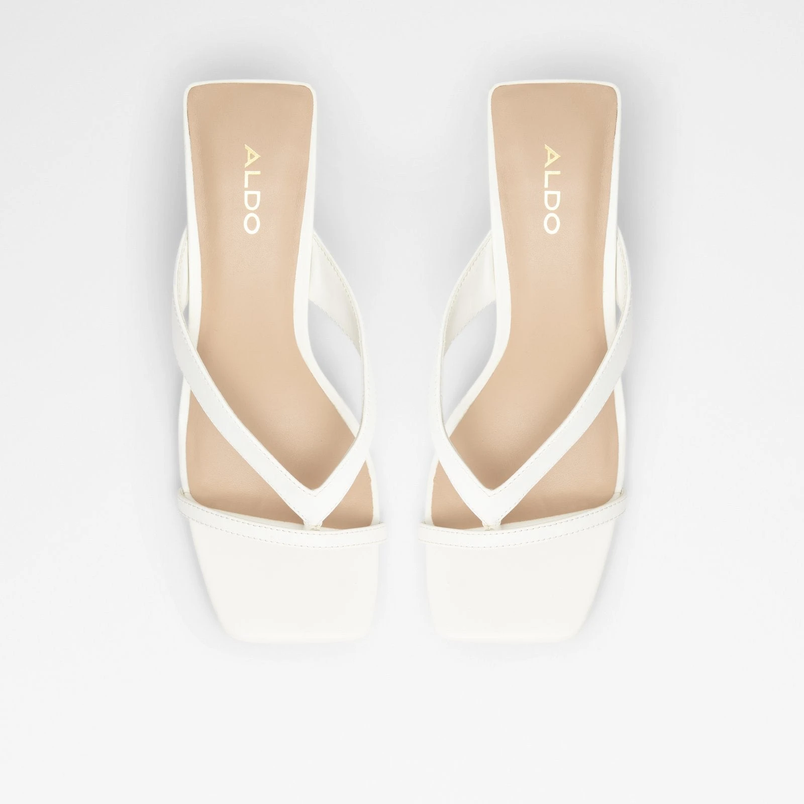 Aldo Loretta 7 Aldo Loretta - Image 7