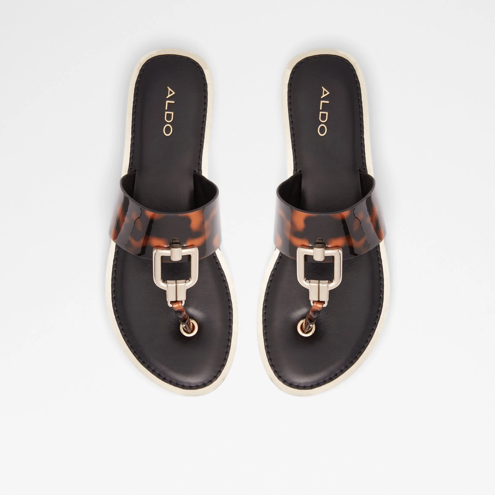 Aldo Tatyx 7 Aldo Tatyx - Image 7